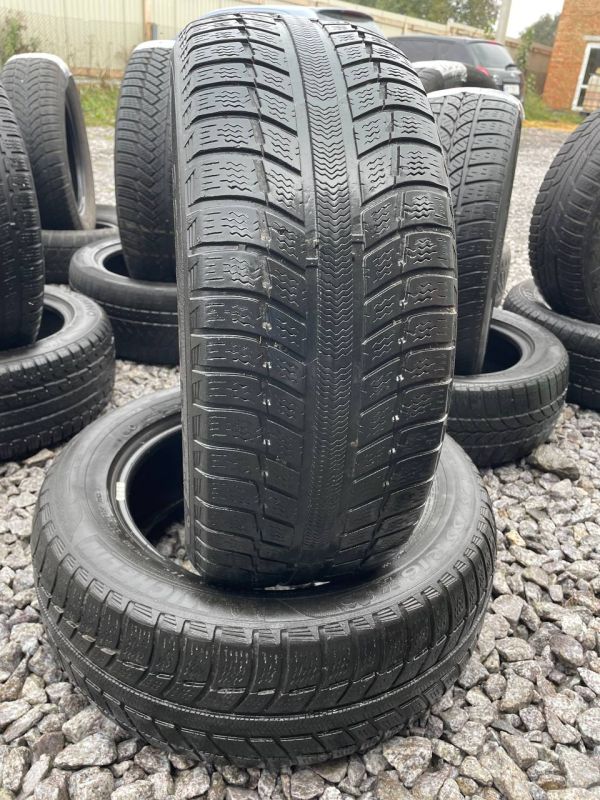 Шини пара Michelin 225/55 r16 зима Гума