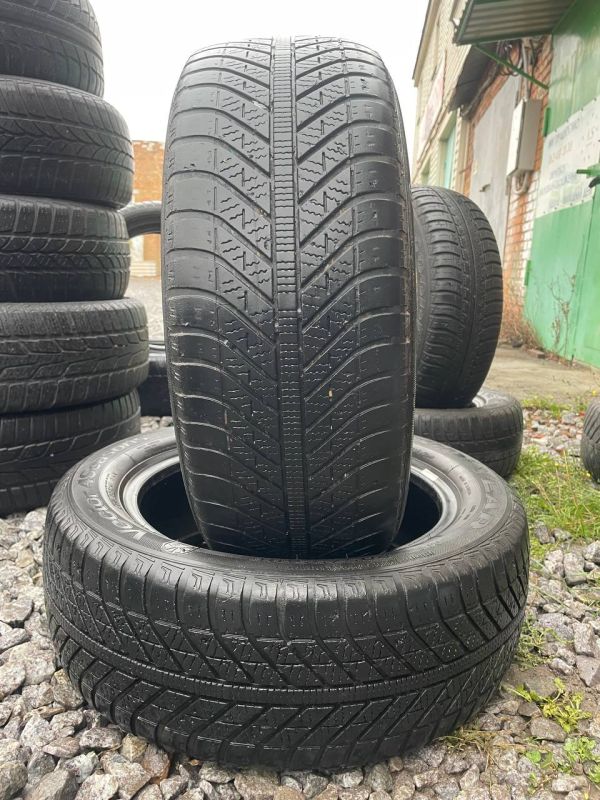 Шини пара Goodyear 205/55 r16 зима Гума