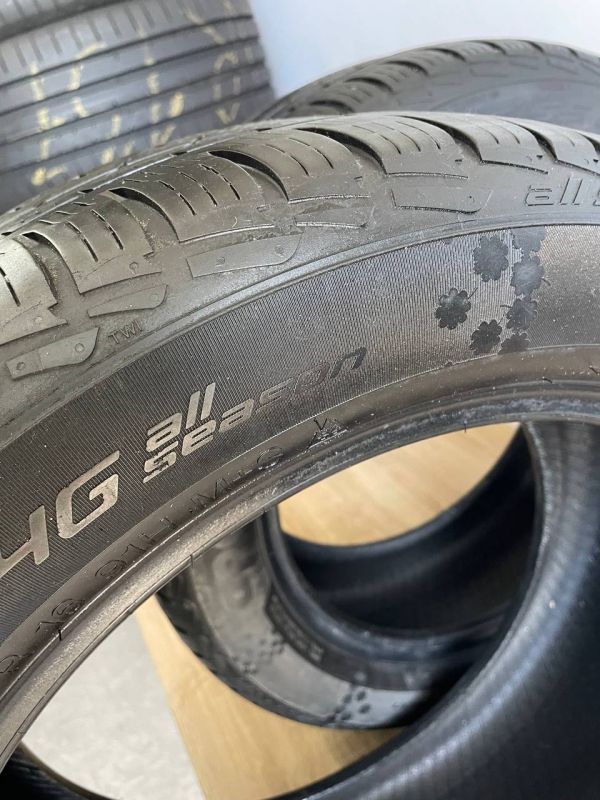 Шини пара Apollo 205/55 r16 все сезон резина