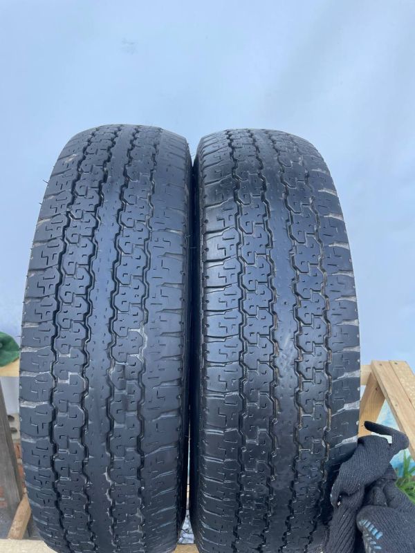 Шини пара Bridgestone 205 r16c всесезон резина