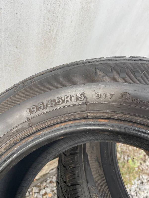 Шини пара Flexxice 195/65 r15 зима резина