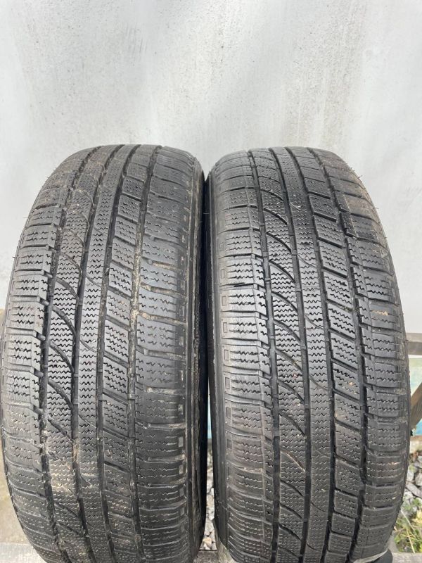 Шини пара Flexxice 195/65 r15 зима резина