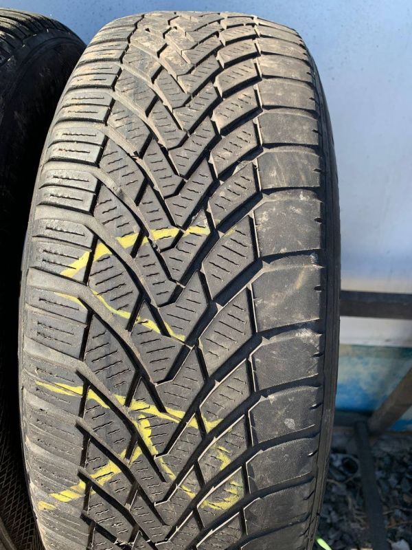 Шини пара 195/65 r15 зима літо на сезон