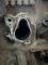 Двигун Мотор AZJ 2.0 MPI 8V Skoda Octavia Volkswagen Golf IV Bora Jetta Seat Leon Toledo